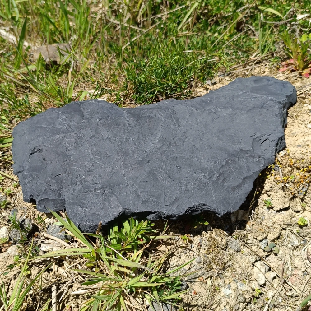 Schungit-Rohstein liegend auf Birkenrinde in der Natur.
