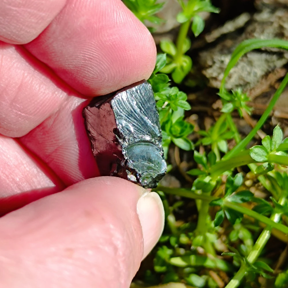 Wasserstein aus Edel-Schungit in der Hand