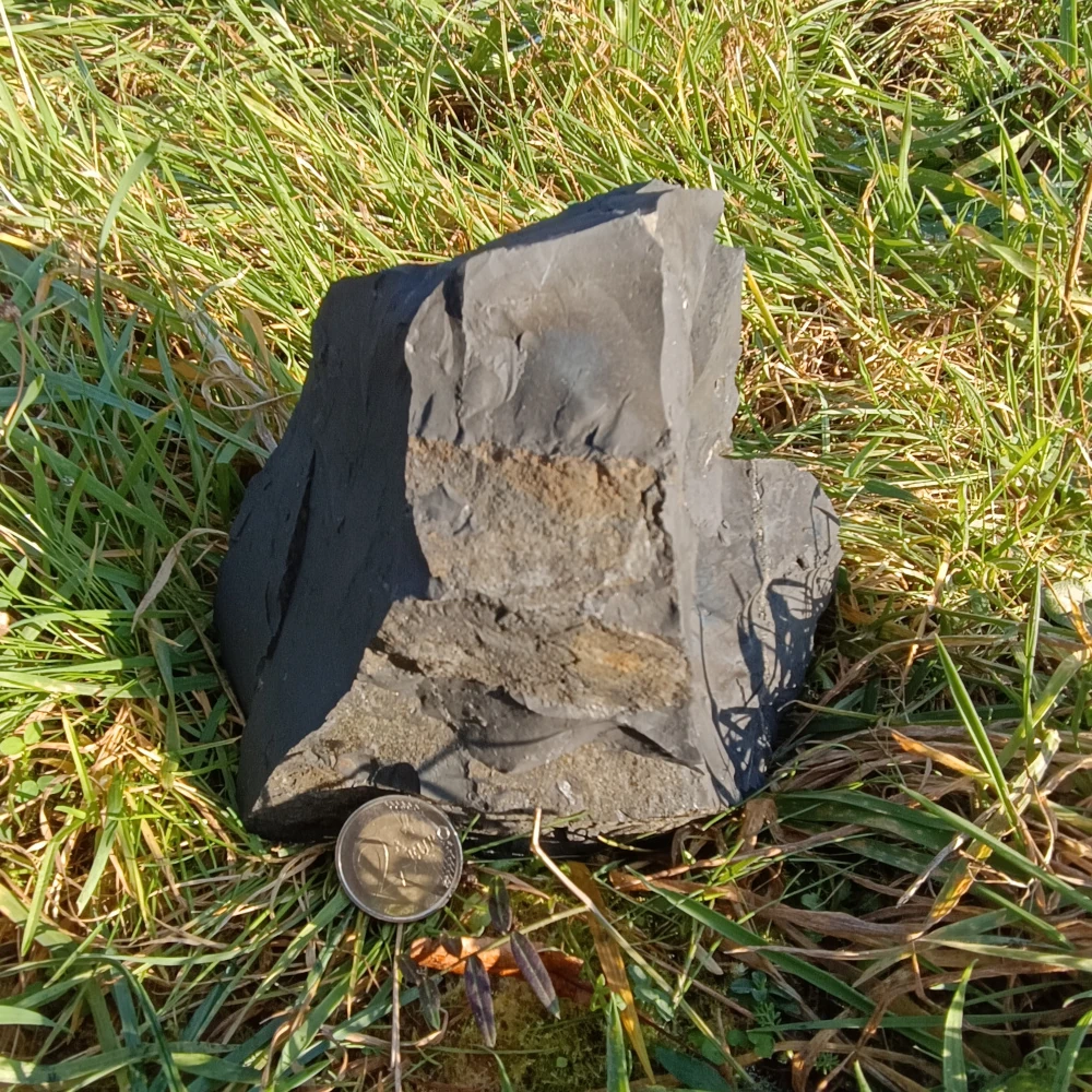 Schungit Rohstein Naturbelassen auf Rasen liegend.