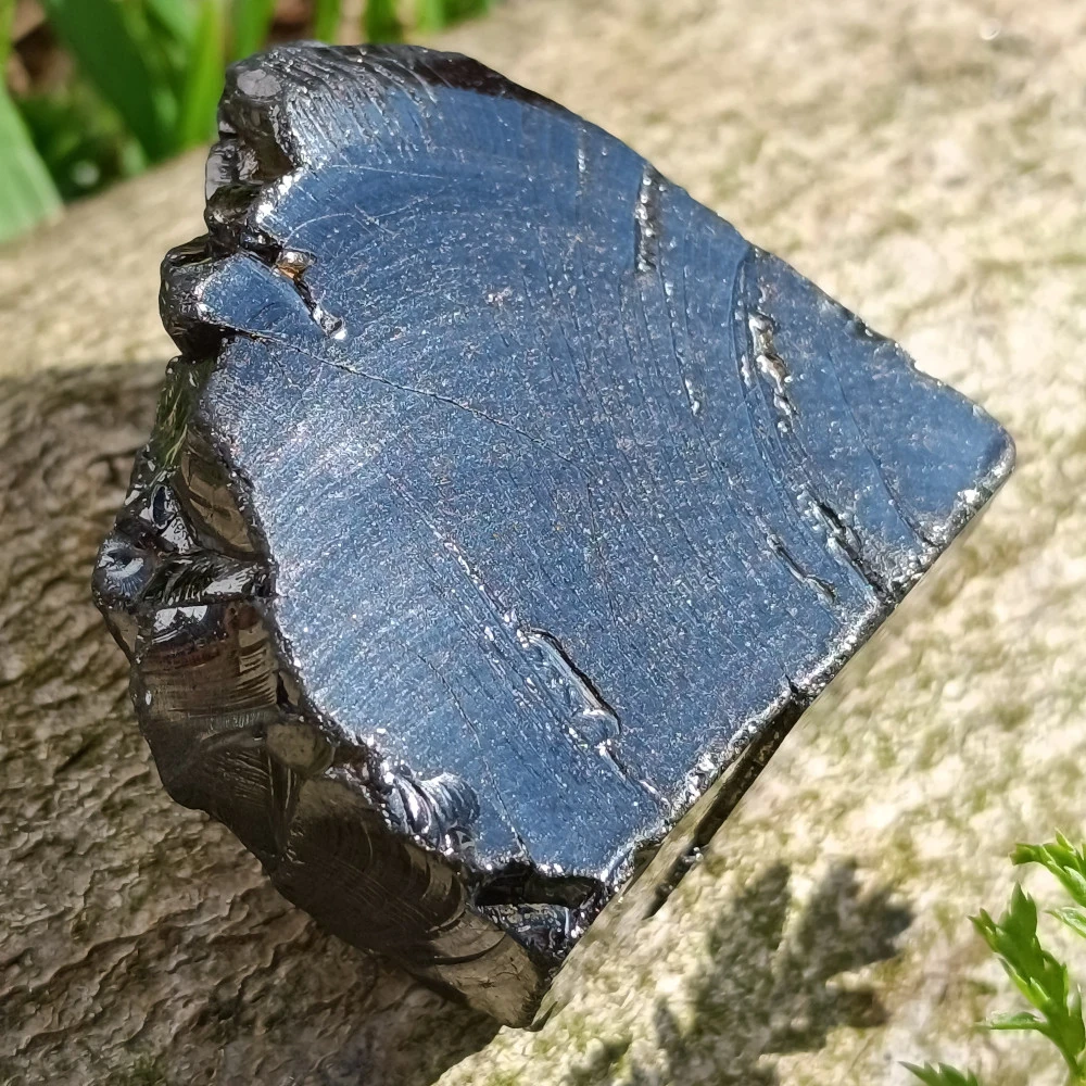 Elite Schungit silbrig-schwarz auf Baumstamm liegend.