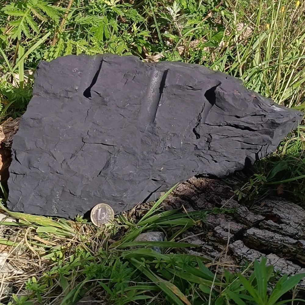 Schwarzer Schungit Bruchstein auf Holz