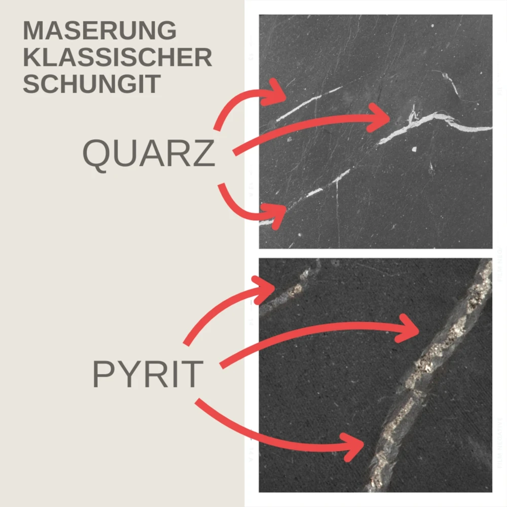 Schungit-Maserungen von Pyrit und Quarz.