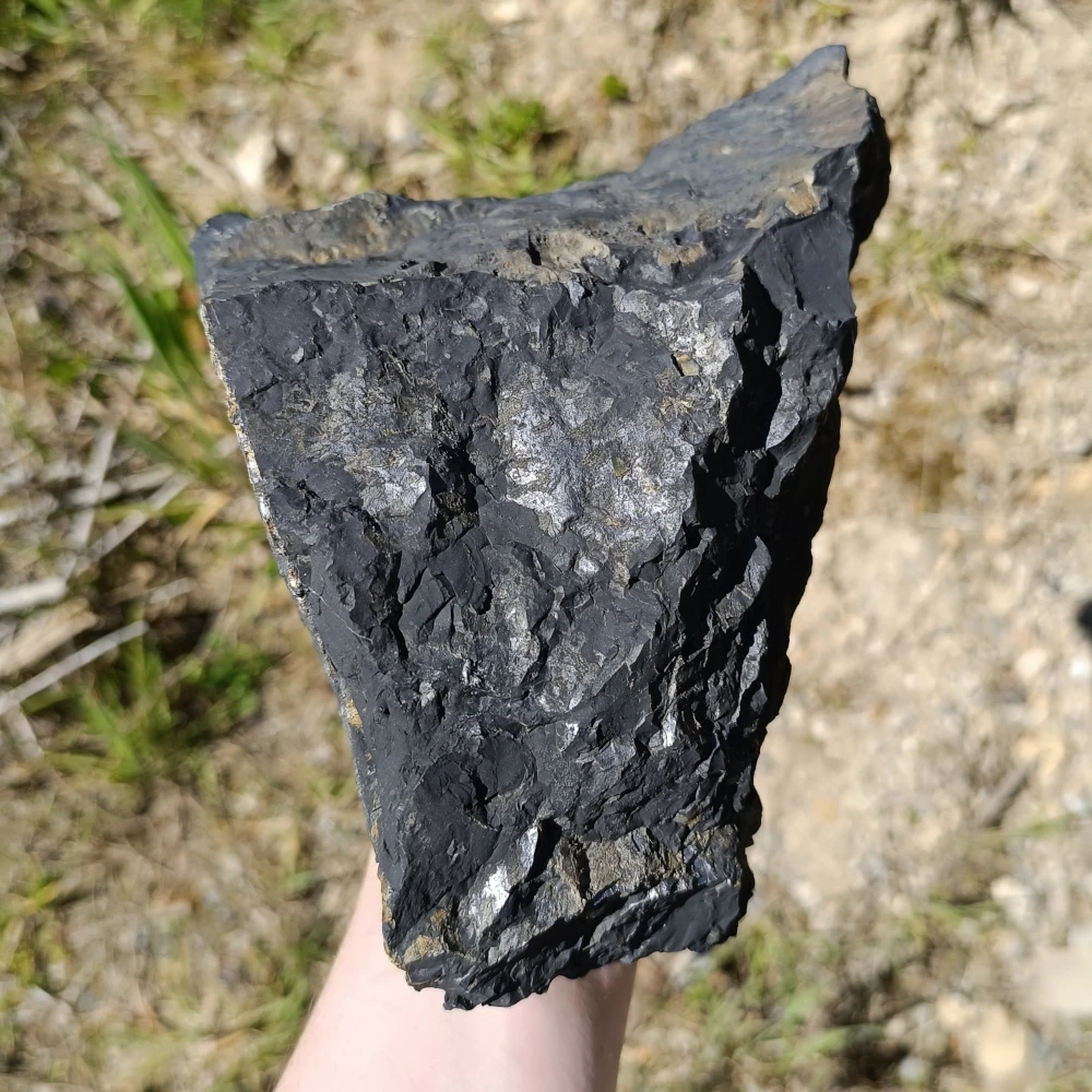 Grosser Schungit Rohstein auf der Hand liegend.