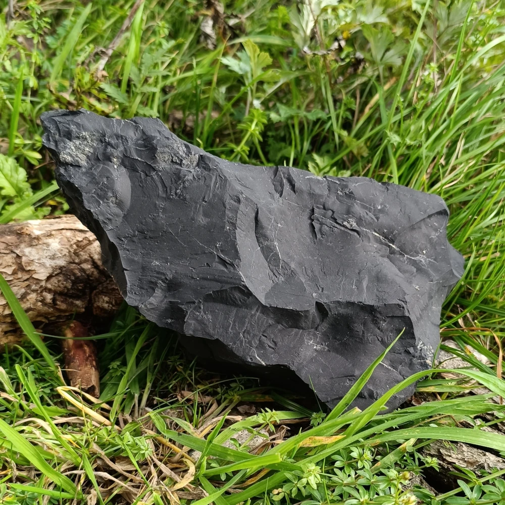 Bruchstein aus Schungit in der Natur liegend