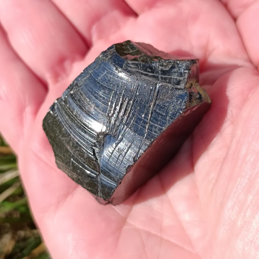 Mittlerer Edelschungit-Stein in der Hand liegend.
