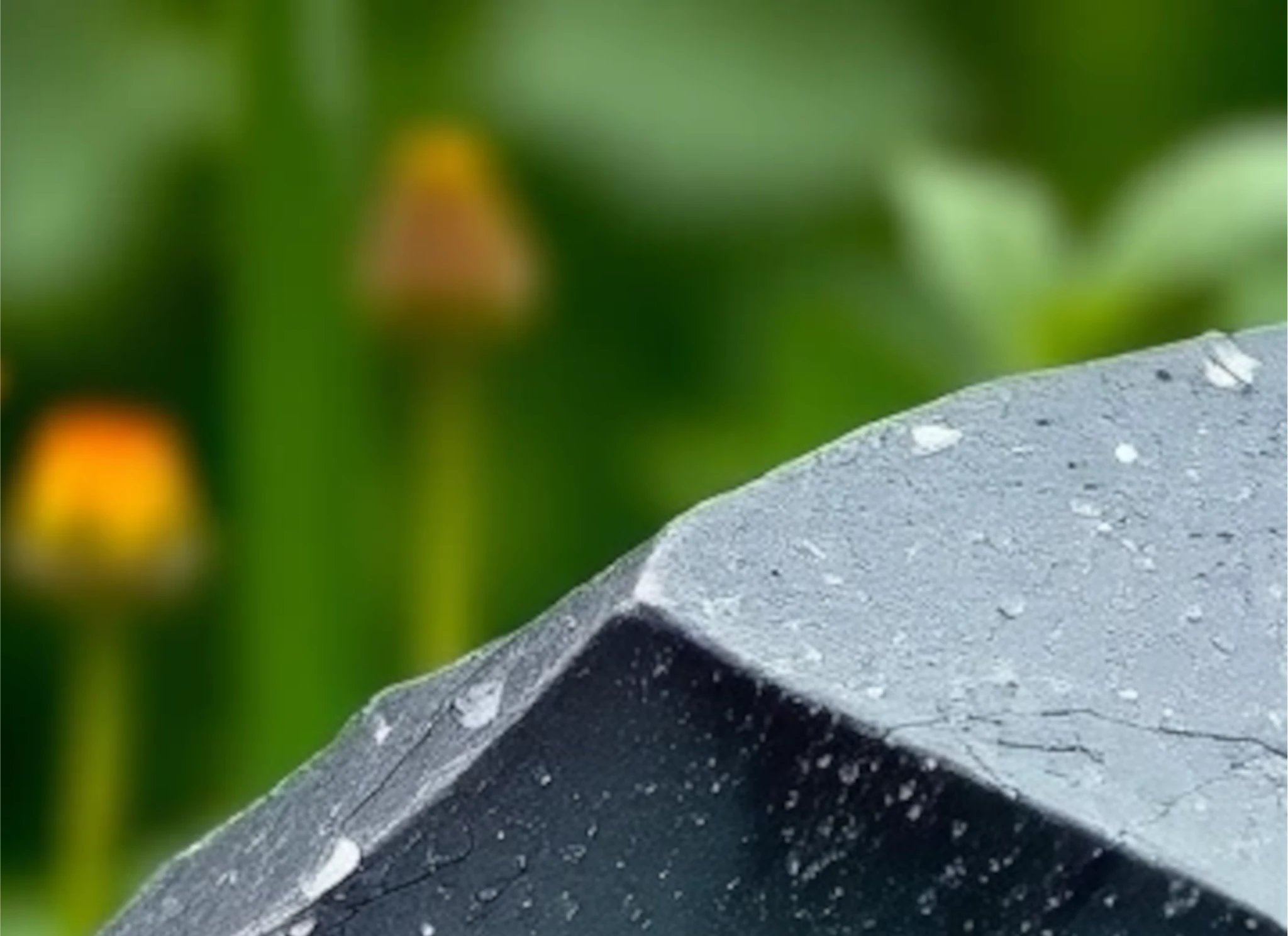 Nahaufnahme eine Schungitsteins mit Blumen Hintergrund.