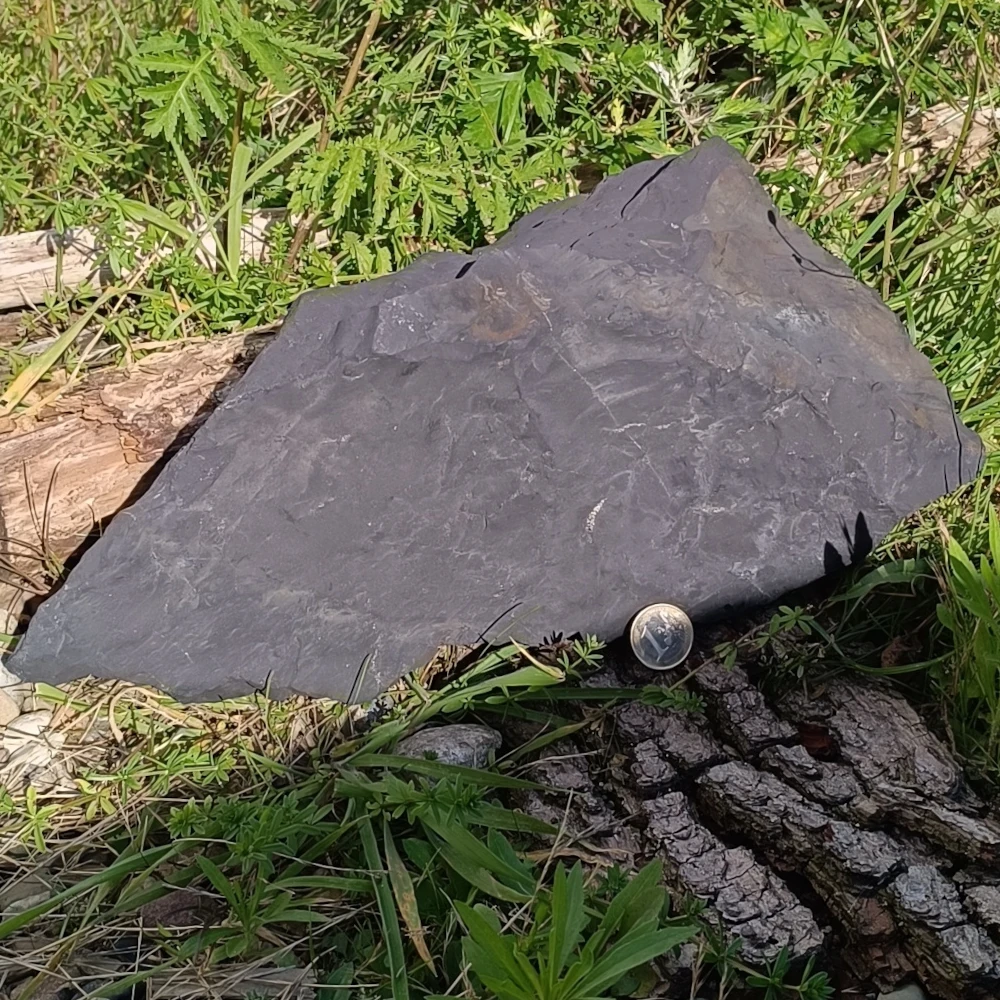 Bruchstein aus Schungit auf Holz liegend